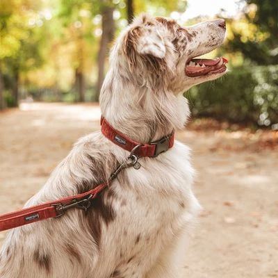 Halsband Nomad Tales Blush, Rosé - Afbeelding 15