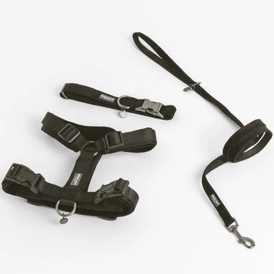 Hondentuig Nomad Tales Blush, Ebony - Afbeelding 13