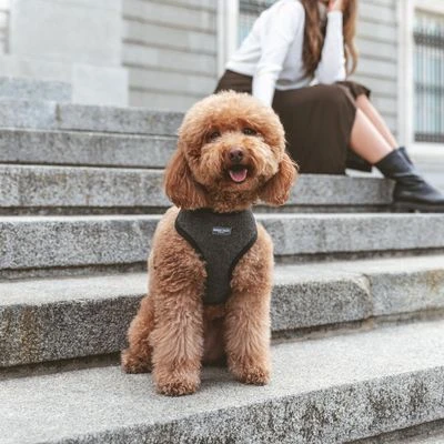 Nomad Tales Calma Tuig, Ebony - Afbeelding 3