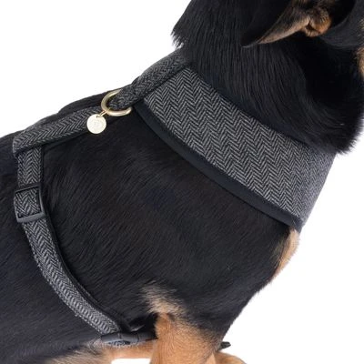 Nomad Tales Calma Tuig, Ebony - Afbeelding 10