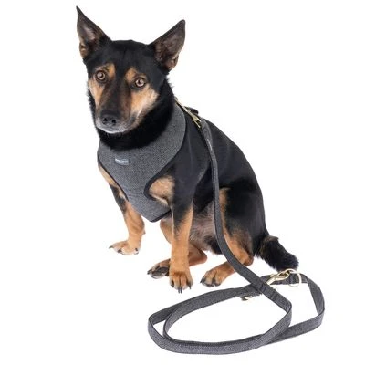 Nomad Tales Calma Tuig, Ebony - Afbeelding 17