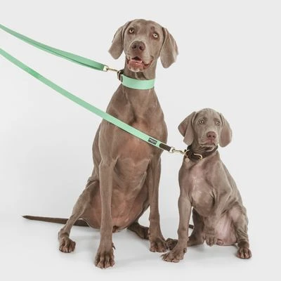 Halsband Nomad Tales Bloom, Mint - Afbeelding 9