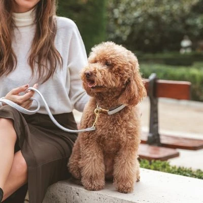 Nomad Tales Calma Halsband, Stone - Afbeelding 2