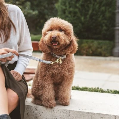 Nomad Tales Calma Halsband, Stone - Afbeelding 13