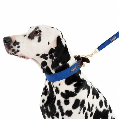 Hondenriem Nomad Tales Bloom, Sapphire - Afbeelding 10