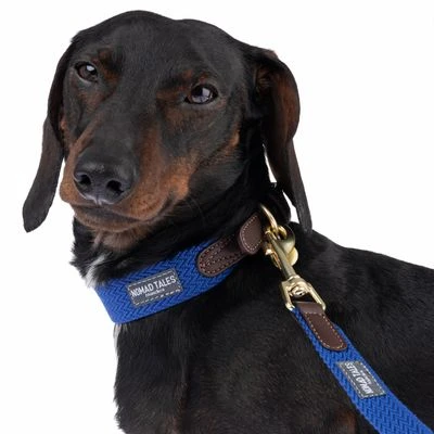 Hondenriem Nomad Tales Bloom, Sapphire - Afbeelding 4