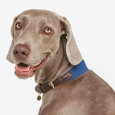 Nomad Tales Bloom Halsband, Sapphire - Afbeelding 6