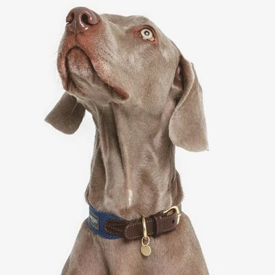 Nomad Tales Bloom Halsband, Sapphire - Afbeelding 2