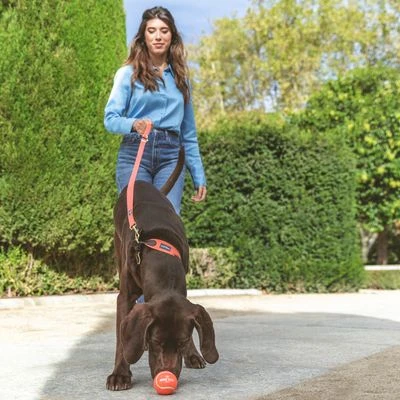 Nomad Tales Bloom Leine, Coral - Afbeelding 10