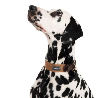 Nomad Tales Bloom Halsband, Caramel - Afbeelding 7