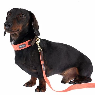 Nomad Tales Bloom Leine, Coral - Afbeelding 5