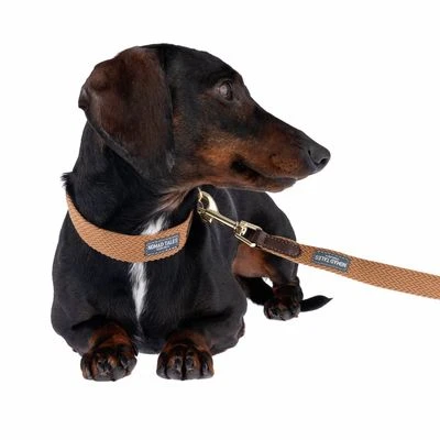 Nomad Tales Bloom Halsband, Caramel - Afbeelding 12