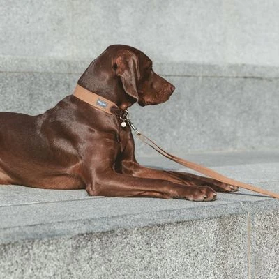 Nomad Tales Bloom Halsband, Caramel - Afbeelding 11