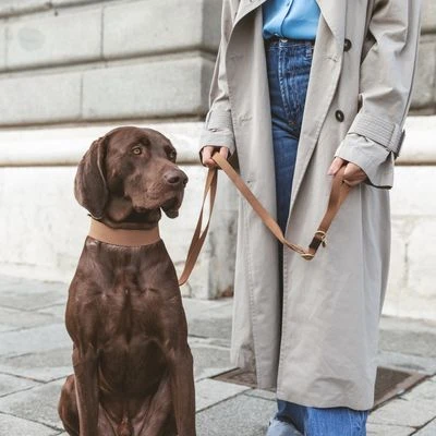 Nomad Tales Bloom Halsband, Caramel - Afbeelding 6