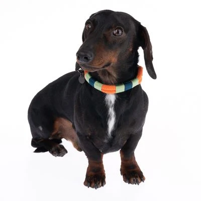 Nomad Tales Spirit Halsband, Tangerine - Afbeelding 4