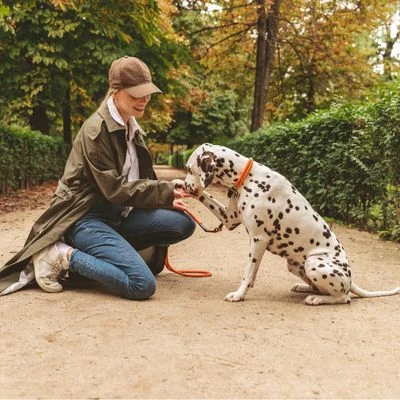 Nomad Tales Spirit Halsband, Tangerine - Afbeelding 3