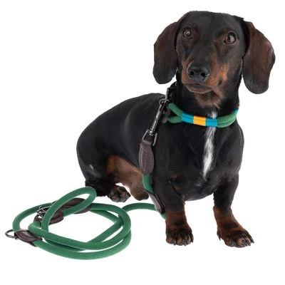 Nomad Tales Spirit Halsband, Pine - Afbeelding 16