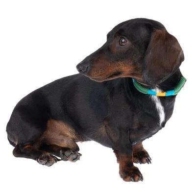 Nomad Tales Spirit Halsband, Pine - Afbeelding 3