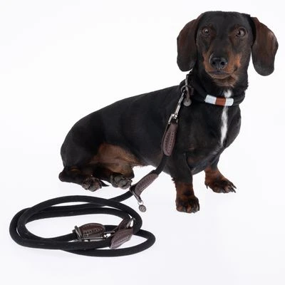 Nomad Tales Spirit Halsband, Ebony - Afbeelding 12