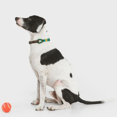Nomad Tales Spirit Halsband, Pine - Afbeelding 4