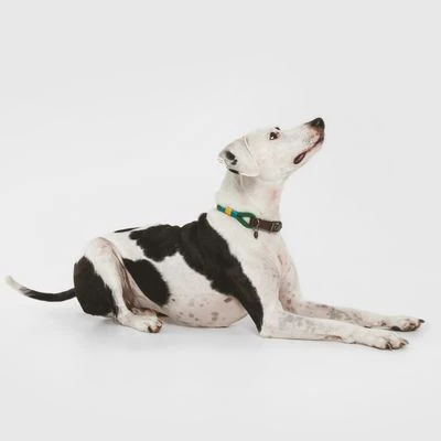 Nomad Tales Spirit Halsband, Pine - Afbeelding 2