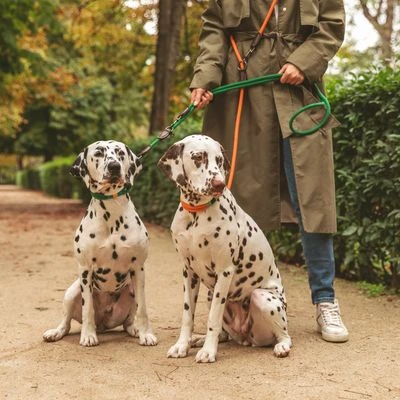 Nomad Tales Spirit Halsband, Tangerine - Afbeelding 13