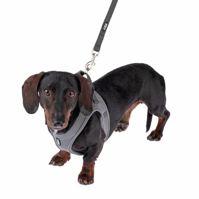 TIAKI Tuigje Wave Vest, Antraciet - Afbeelding 13