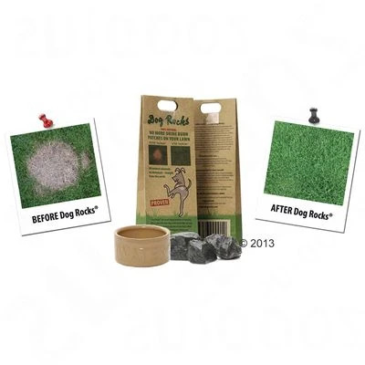 Dog Rocks® Natuurstenen - Afbeelding 3