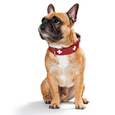 Hunter Set: Halsband Swiss + Hondenriem Swiss - Afbeelding 7