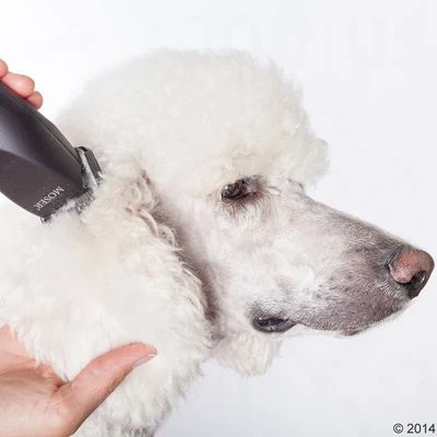 Schermaschine Moser Max50 - Afbeelding 11