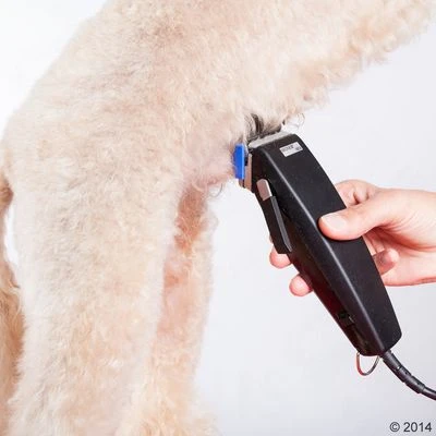 Tondeuse Moser Rex - Afbeelding 11