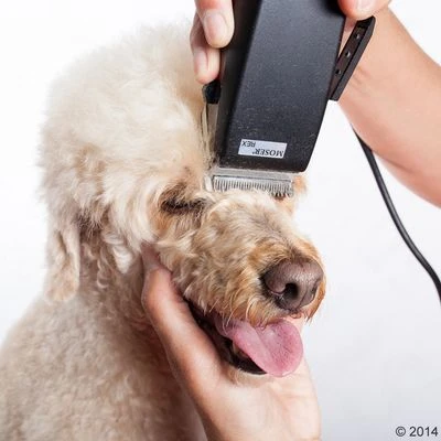 Tondeuse Moser Rex - Afbeelding 10