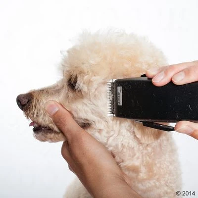 Tondeuse Moser Rex - Afbeelding 9