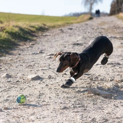 Hondenschoen S & P Boots - Afbeelding 10