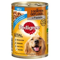 Pedigree Adult Classic