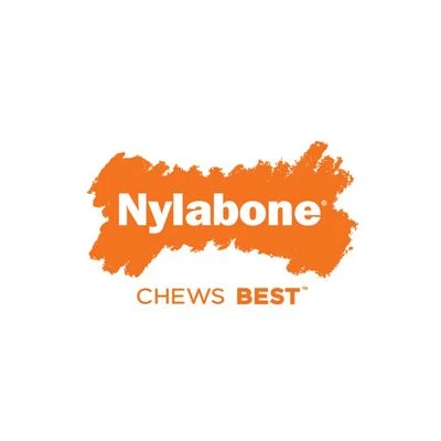 Nylabone Stick Alternative Kauwspeelgoed - Afbeelding 5