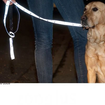 Trixie Set: Halsband Poten Zilver Reflect + Hondenlijn - Afbeelding 7