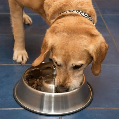 Antischrok Voerbak Uit RVS - Afbeelding 8