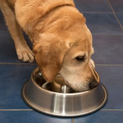 Antischrok Voerbak Uit RVS - Afbeelding 9