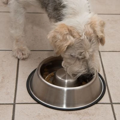 Antischrok Voerbak Uit RVS - Afbeelding 10