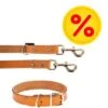 Heim Set: Lederen Halsband & Riem Buffalo