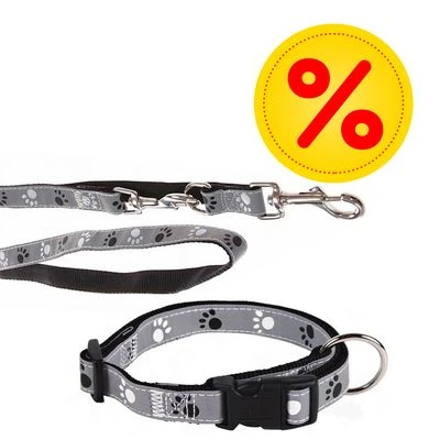Trixie Set: Halsband Poten Zilver Reflect + Hondenlijn