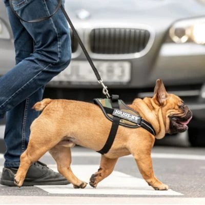 Julius K9 JULIUS-K9 IDC®-Powertuigje - Camouflage - Afbeelding 4