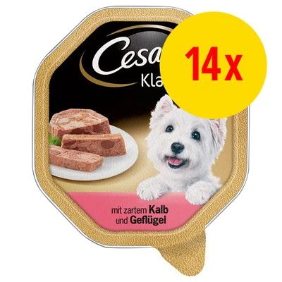 Cesar Multipack Hondenvoer 14 X 150 G