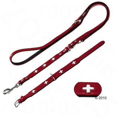 Hunter Set: Halsband Swiss + Hondenriem Swiss - Afbeelding 8