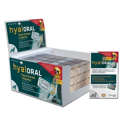Hyaloral Grote & Zeer Grote Rassen - Afbeelding 2