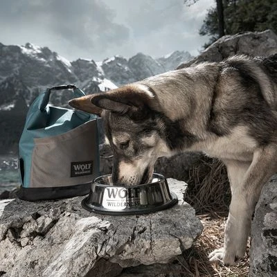 Wolf Of Wilderness Antislip RVS Voerbak Voor Honden - Afbeelding 3