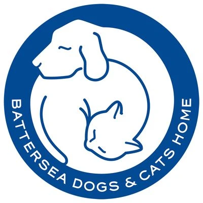 Pet Teezer De-shedding Brush Small - Afbeelding 5