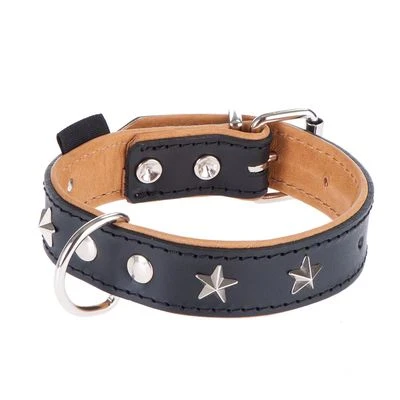 Heim Leren Halsband Stars