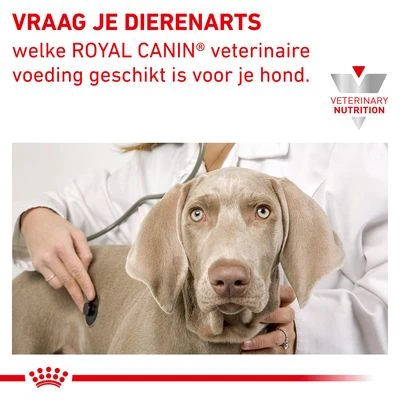 Royal Canin Veterinary Sensitivity Control Kip & Rijst Hondenvoer - Afbeelding 4